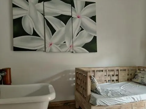 Apartment Le Comfort Anse Royale Seychellen